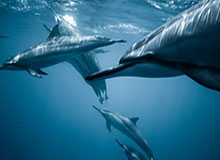 开云官网-“苏超”继续向“街头小店”敞开赞助大门